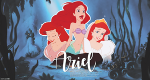  DP banner - Ariel
