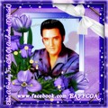 Elvis fan creation - elvis-presley photo