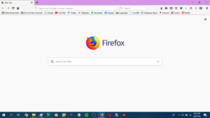 Firefox Color Custom 19