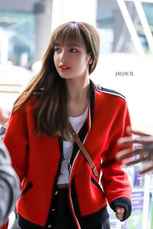  Lisa at Incheon Intl. Airport Back from Paris After Attending CELINE 显示