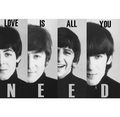 Love is all you need  - the-beatles fan art