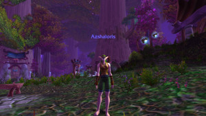  madami World of Warcraft Screenshots