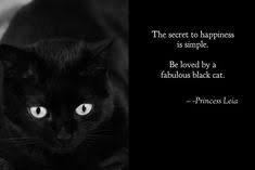 Quote Pertaining To Black Cats