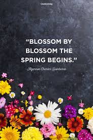  Quote Pertaining To Spring