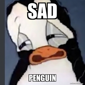  Sad penguin, auk