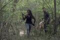 Season 10 ~ First Look ~ Michonne and Aaron - the-walking-dead photo