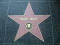 Snow White Star Walk Of Fame - disney photo