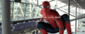 Spider-Man / Peter Parker - spider-man fan art