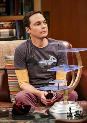  The Big Bang Theory ~ 12x07 "The Grant Allocation Derivation"