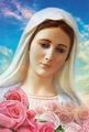 Virgin Mary - blessed-virgin-mary photo