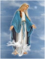 Virgin Mary - blessed-virgin-mary photo