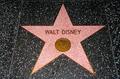 Walt Disney Star Walk Of Fame - disney photo