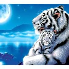 White Tiger And Her Cub