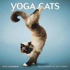  Yoga ネコ Calendar