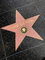Winnie The Pooh Star Walk Of Fame - disney photo