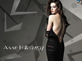 anne-hathaway -  Anne Hathaway wallpaper