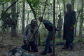 10x05 ~ What It Always Is ~ Alpha and Beta - the-walking-dead photo