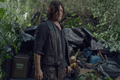 10x05 ~ What It Always Is ~ Daryl - the-walking-dead photo