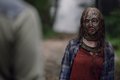 10x08 ~ The World Before ~ Gamma - the-walking-dead photo
