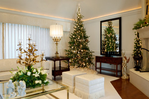 A Home, Full of Christmas Spirits 🎄🎊☃️💚🎅❤️