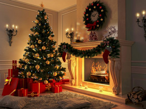  A Home, Full of 圣诞节 Spirits 🎄🎊☃️💚🎅❤️