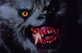 An American Werewolf in London - horror-movies fan art