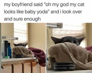  Baby Yoda