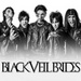 Black Veil Brides - black-veil-brides icon