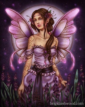  Fairy fantasi