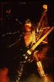 Gene (NYC) December 15, 1977 (Alive II Tour - Madison Square Garden) - kiss photo