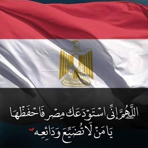 MY EGYPT DON'T WAR