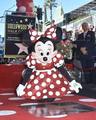 Minnie Mouse 2018 Walk Of Fame Induction Ceremony - disney photo