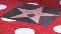 Minnie Mouse Star Walk Of Fame - disney photo