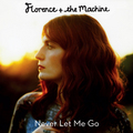 Never Let Me Go - florence-the-machine fan art