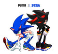 Sonic x Puma - sonic-the-hedgehog fan art