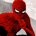 Spider-Man - Peter Parker - spider-man icon