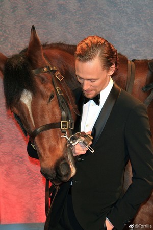  Tom Hiddleston at the UK premiere of ‘War Horse’ at Odeon Leicester Square on January 08, 2012