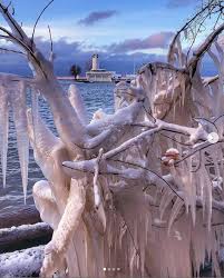 Tree Branch Ice Sculpture