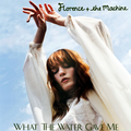 What The Water Gave Me - florence-the-machine fan art
