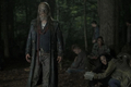 10x09 ~ Squeeze ~ Beta - the-walking-dead photo