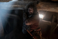 10x09 ~ Squeeze ~ Jerry - the-walking-dead photo