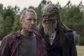 10x14 ~ Look at the Flowers ~ Beta and Rufus - the-walking-dead photo
