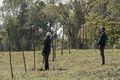10x14 ~ Look at the Flowers ~ Carol and Negan - the-walking-dead photo