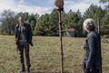 10x14 ~ Look at the Flowers ~ Carol and Negan - the-walking-dead photo