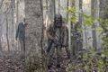 10x15 ~ The Tower ~ Whisperer - the-walking-dead photo