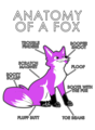 Fox Anatomy - random photo