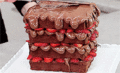Nutella Waffle Cake - dessert fan art
