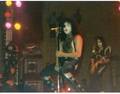Paul ~Milwaukee, Wisconsin...February 4, 1976 (Alive Tour)  - kiss photo