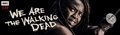 Season 10B Poster ~ Michonne - the-walking-dead photo